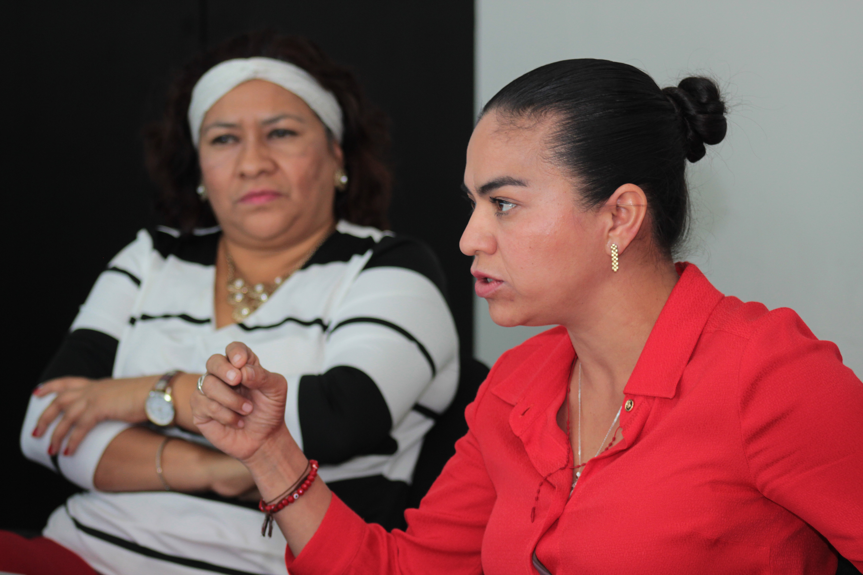 Observatorio Electoral de Género